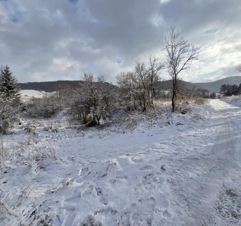 Na predaj pozemok v obci Ruská Voľa nad Popradom